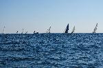 Варна -  Shorthanded Rеgatta 2022
Варна - Нестандартна изложба