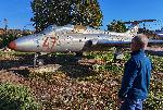 с. Крушовене - Паметник на загинали военни пилоти