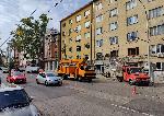 София - Планово премахване на дървета - Булевард Васил Левски