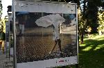 София – фотографска изложба