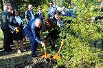 Черноморски кметове и посланик Херо Мустафа засадиха 20 кедъра в Морската градина в Бургас