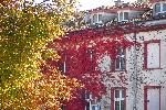 Варна -Есен
