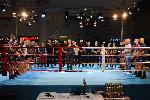 Варна - Grand Kickboxing Night<br />
В