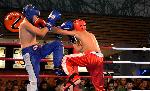 Варна - Grand Kickboxing Night<br />
В