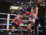 Варна - Grand Kickboxing Night<br />
В