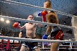 Варна - Grand Kickboxing Night<br />
В