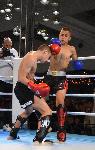 Варна - Grand Kickboxing Night<br />
В