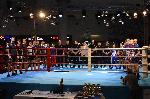 Варна - Grand Kickboxing Night<br />
В
