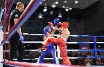 Варна - Grand Kickboxing Night<br />
В