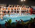Варна - Grand Kickboxing Night<br />
В