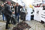София - Протест на лозарите пред министерството на земеделието