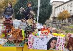 Плевенчани събират пари за болно дете