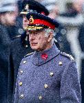 Лондон - Денят на паметта (Remembrance Day)