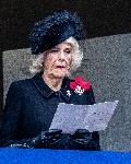 Лондон - Денят на паметта (Remembrance Day)