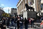 София - Протест в защита на пострадалите животни