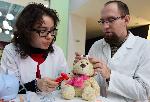 Плевен - Болница за плюшени играчки