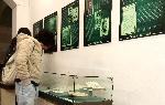 Плевен - Изложба в Историческия музей