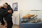 Варна - Военноморският музей открива традиционната си годишна изложба „Многото пътеки към морската история“