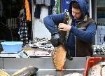 София - Женски пазар - Никулден - Шаран
