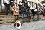 Протест в защита на кучето Мечо и срещу насилието на животни се проведе пред Съдебната палата в София