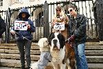 София - Съдебна палата - Протест срещу насилието над животни