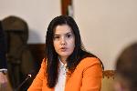София - Временна парламентарна комисия - Гемкорп