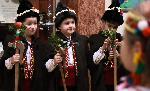 Коледари завзеха Община Плевен