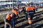 София - Дерайлирал вагон - Централна жп гара - Скъсана контактна мрежа