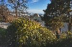 Варна - необичайно топло