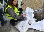 София – Проверка на качеството на ремонта на жълтите павета в столицата