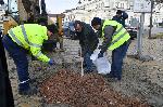 София – Проверка на качеството на ремонта на жълтите павета в столицата