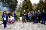 Хасково – Новозасадени елхи в парка пред стадиона