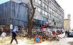 Бургас - Чистят опасните клони и дървета