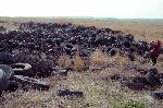Бургас - Незаконно сметище