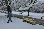 Плевен - Сняг в 'Кайлъка'