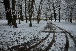 Плевен - Сняг в 'Кайлъка'