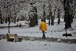 Плевен - Сняг в 'Кайлъка'