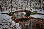 Плевен - Сняг в 'Кайлъка'