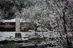 Плевен - Сняг в 'Кайлъка'