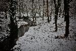Плевен - Сняг в 'Кайлъка'
