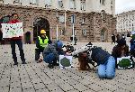 София - Президентство - Флашмоб в защита на горите