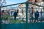 Полицейска акция в село Старо Оряхово