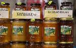 Плевен - Пчеларско изложение
