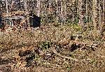София - Глоба - Незаконна сеч - Борисова градина - Къпалня Мария Луиза<br />