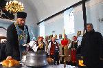Тополи - Трифон Зарезан
