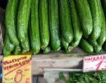 Бургас - цени на хранителни продукти