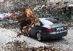 Харманли – Пострадал автомобил от паднало дърво