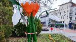 Варна - Украса за Баба Марта