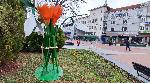Варна - Украса за Баба Марта
