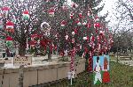 Ямбол - дървета украсени с мартеници